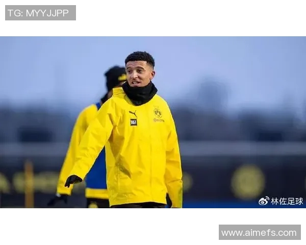 多特蒙德或迎新东家重磅转会或将改变球队未来格局